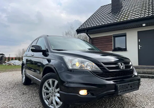 płock Honda CR-V cena 49900 przebieg: 241000, rok produkcji 2011 z Płock